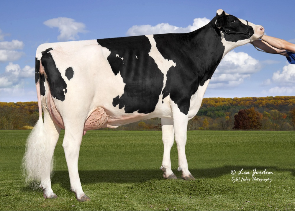 LEGENDARY GALE ET VG-85 - Mère de PACIFIC