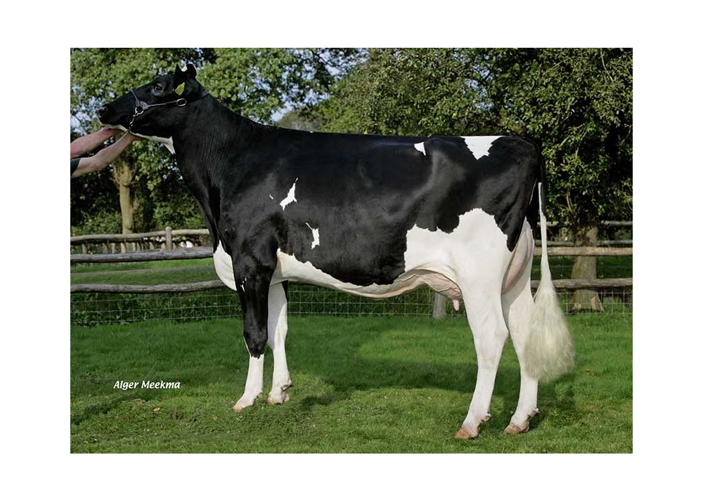 FEMMY, grand-mère de JOBART FEMMY, grand-mère de JOBART