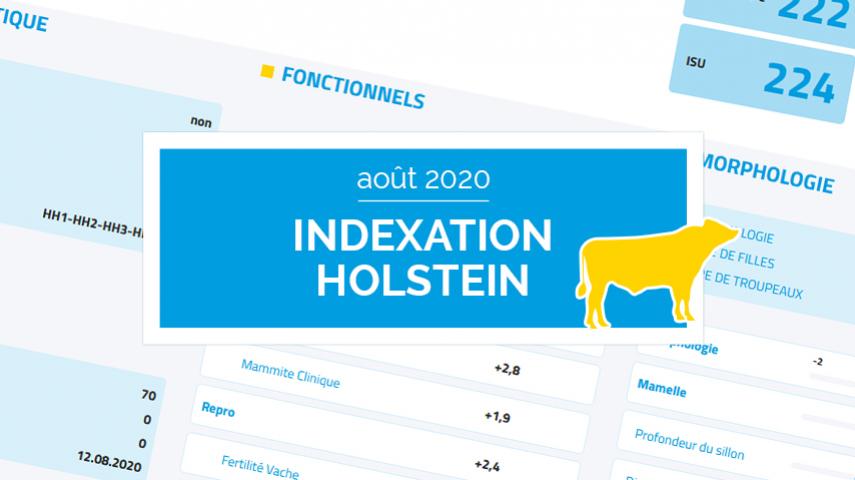Pruebas Holstein agosto de 2020