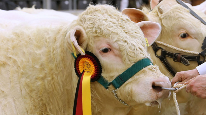 Éxito de la exposición de genética Genes Diffusion en Alemania