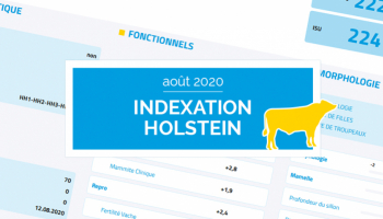 Pruebas Holstein agosto de 2020