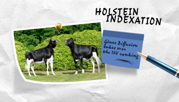 Holstein Index: Gènes Diffusion takes over the ISU ranking